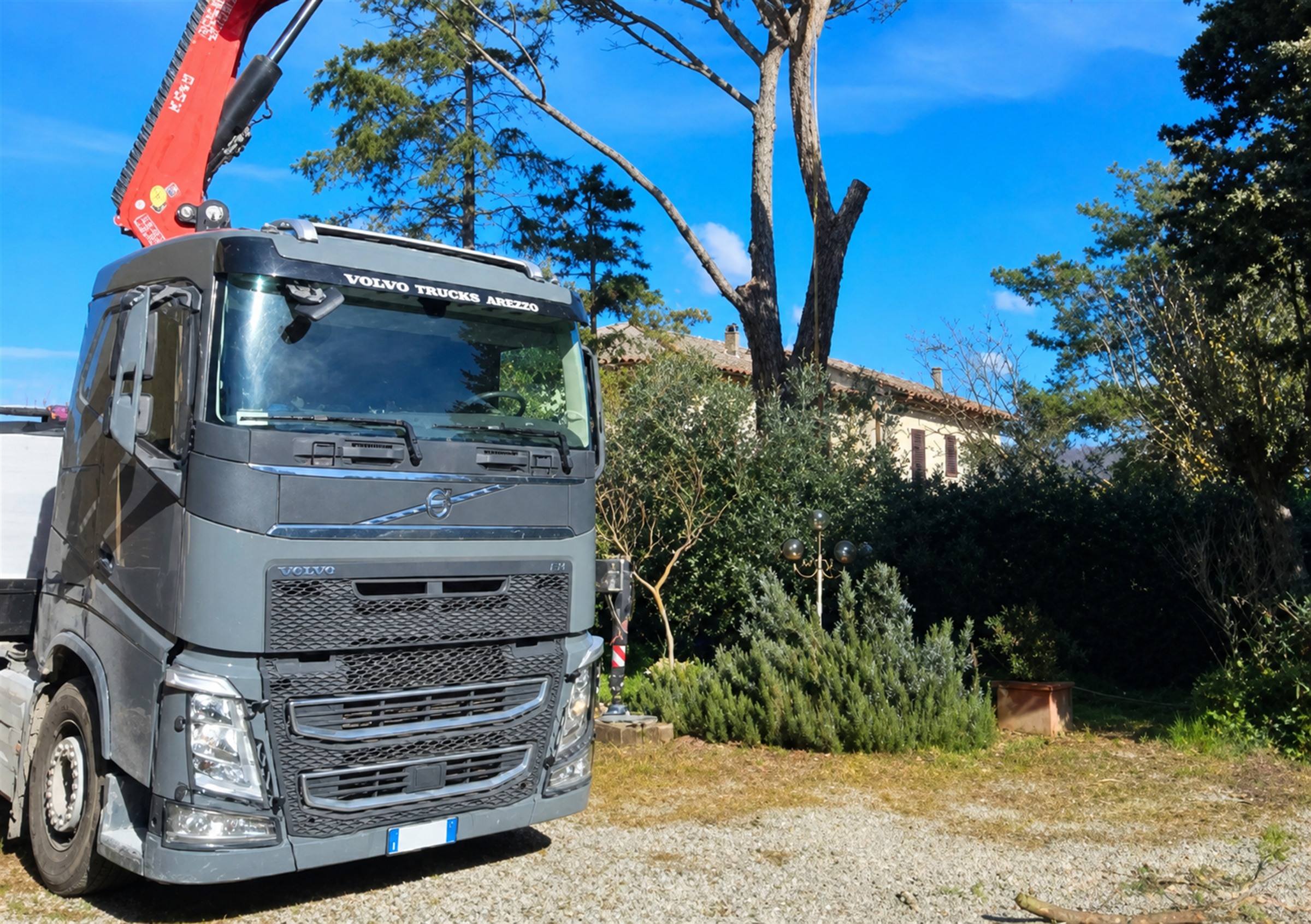 Autogru impiegata durante la movimentazione di un albero