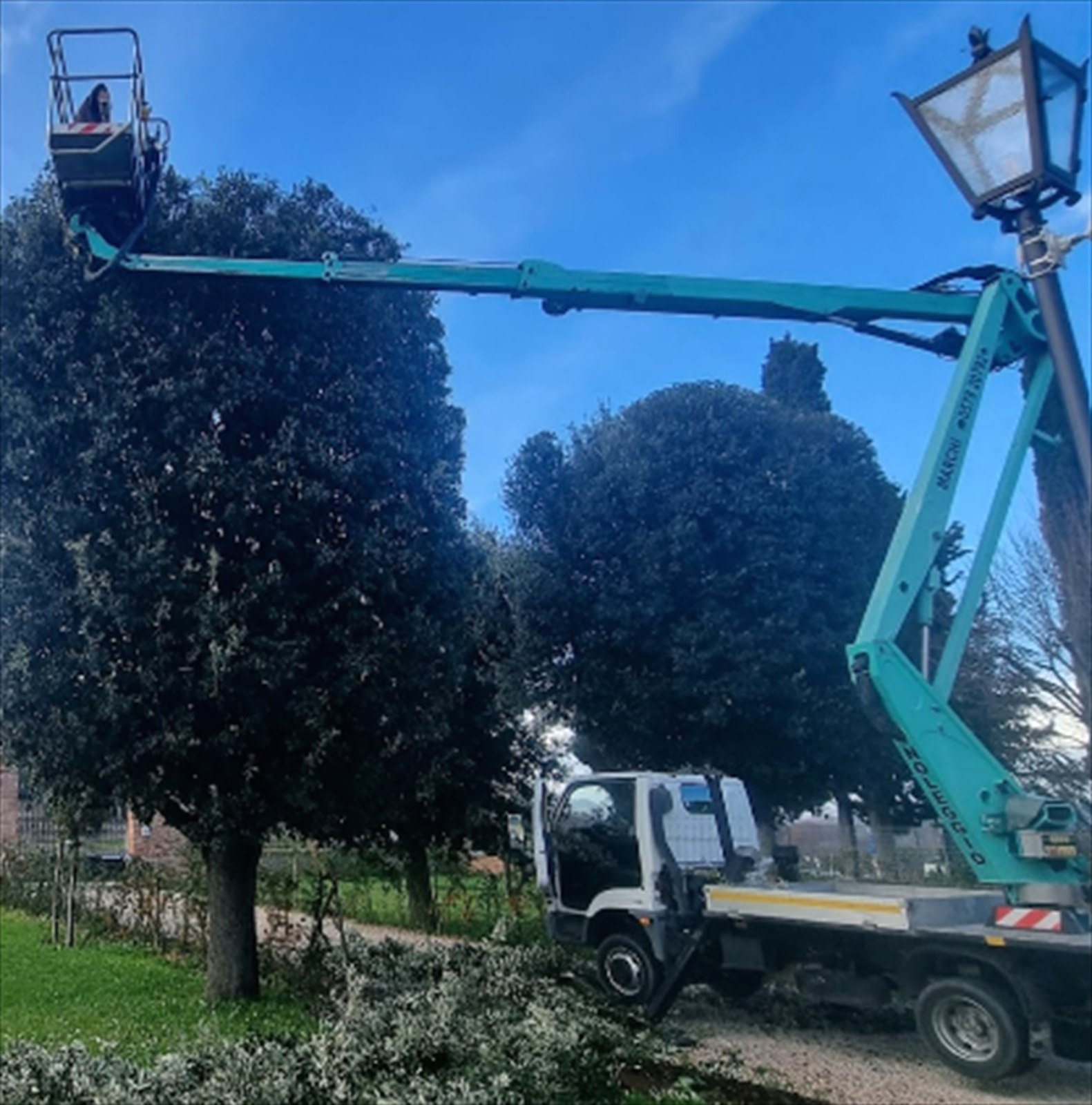 Piattaforma elevabile per lavori sugli alberi