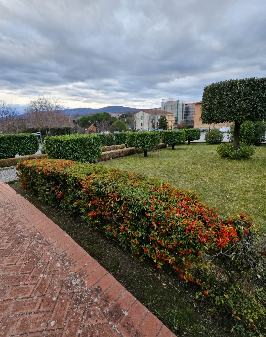 Giardino curato con prato, alberi e aiuole