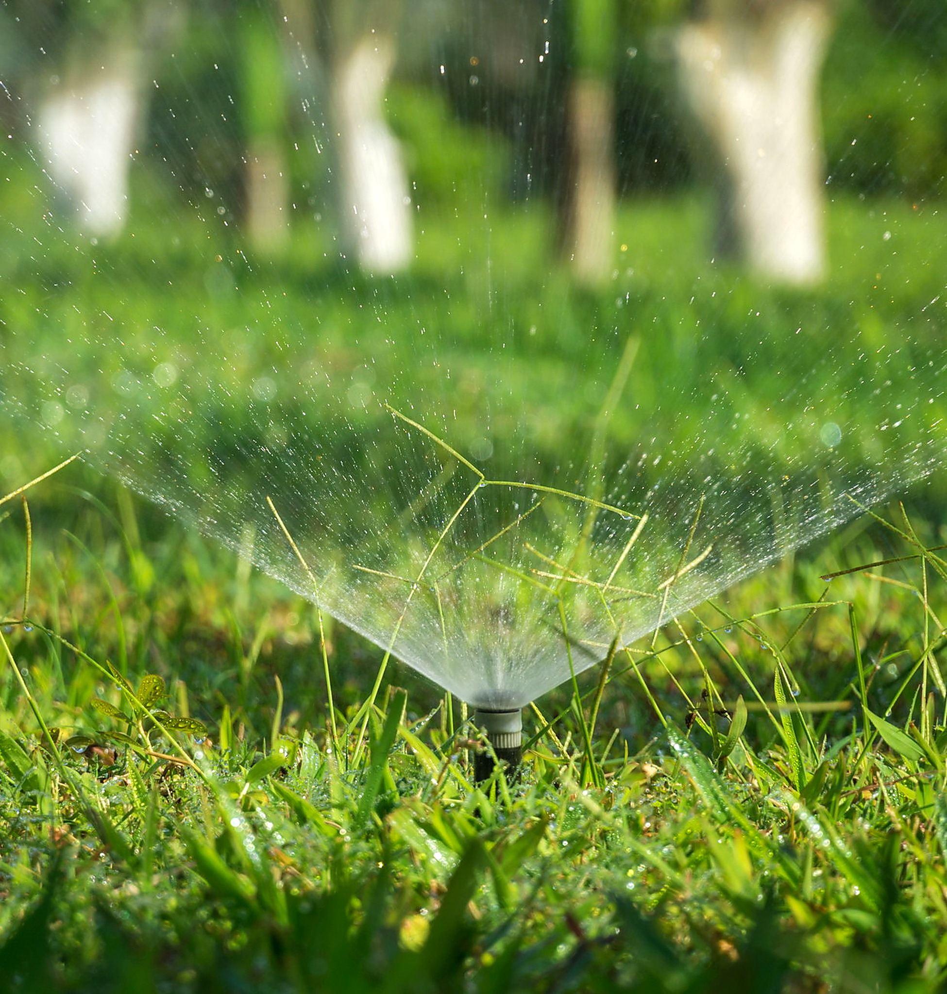 Irrigatore statico a raso prato con il ventaglio d'acqua aperto