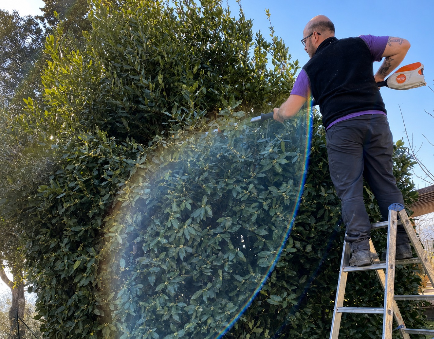 Operatore durante la potatura di una siepe