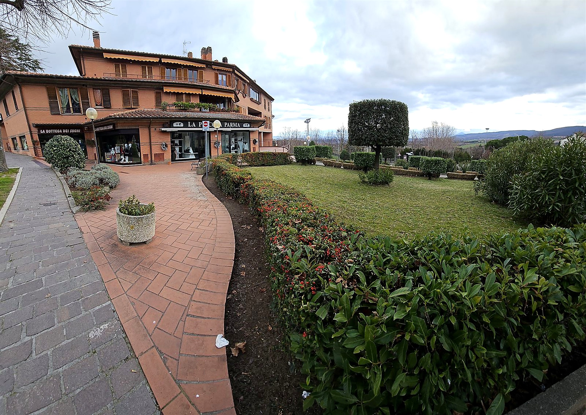 Siepe di lauroceraso e piracanta appena potata, con il profilo netto e la superficie piena